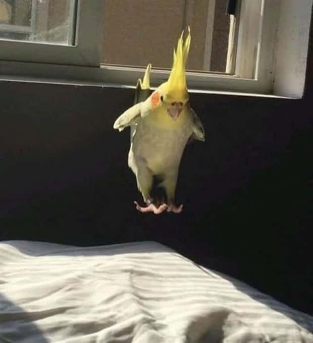 Klyker Picdump #1636 (41 photos)