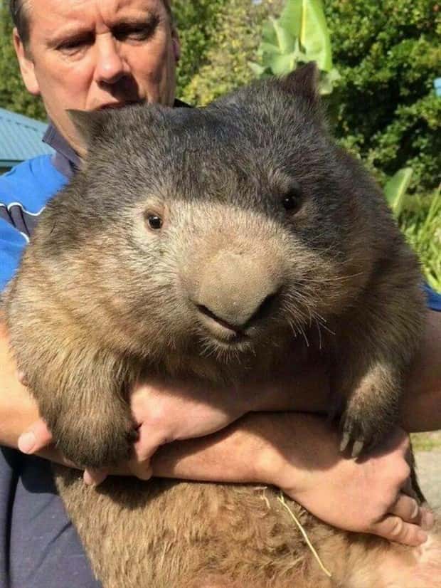 Klyker Picdump #1636 (41 photos)