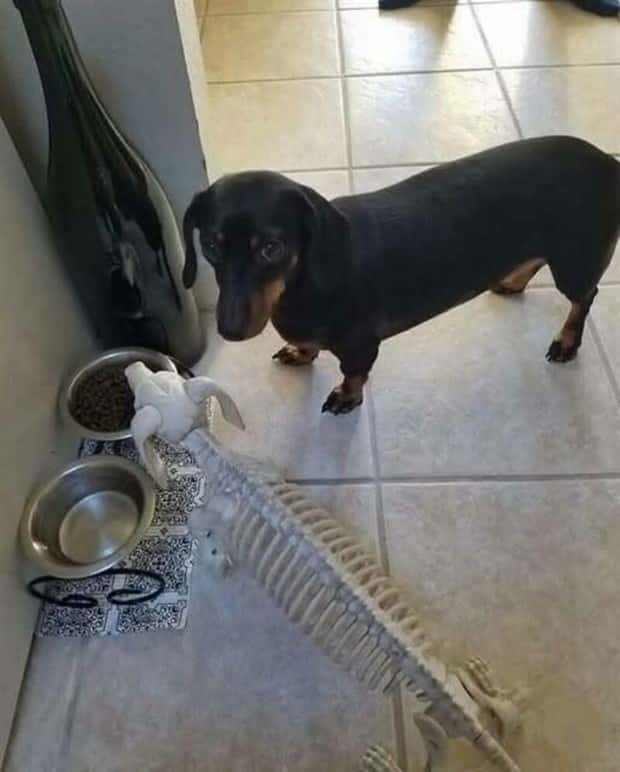 Klyker Picdump #1636 (41 photos)