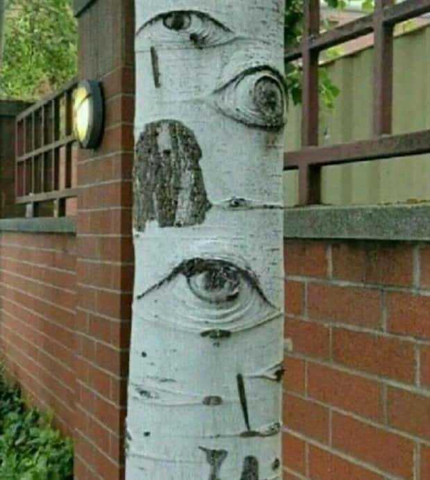 Klyker Picdump #1636 (41 photos)