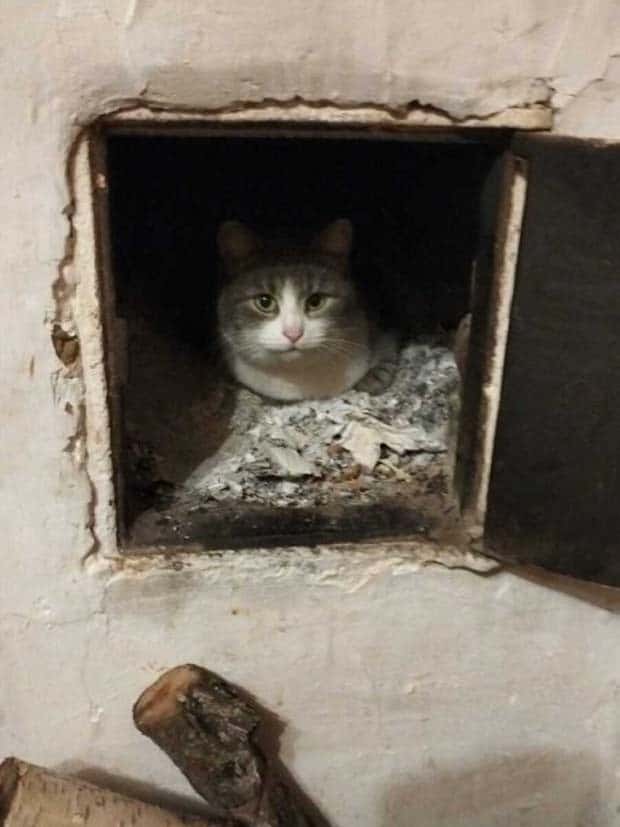 Klyker Picdump #1636 (41 photos)