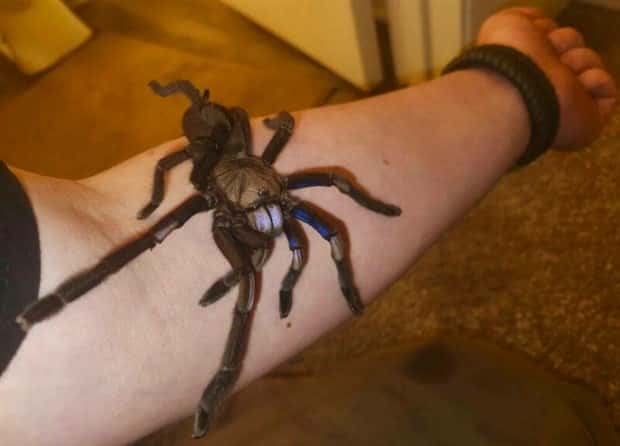 Klyker Picdump #1636 (41 photos)