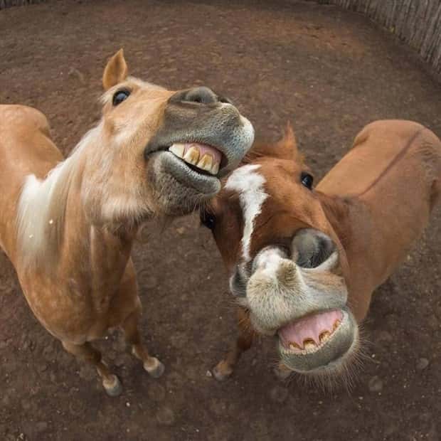 Klyker Picdump #1636 (41 photos)