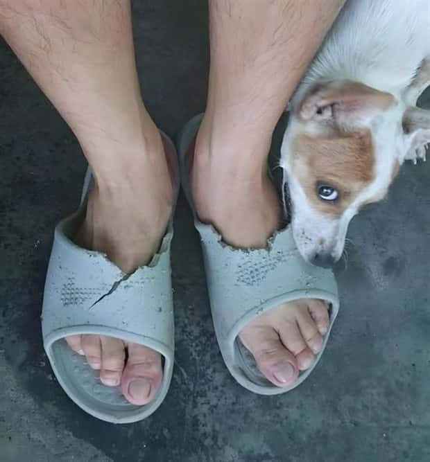 Klyker Picdump #1636 (41 photos)