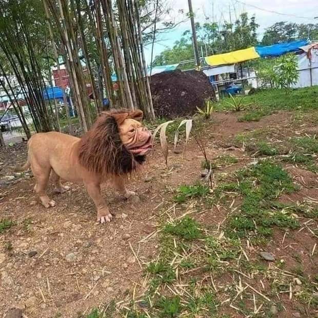 Klyker Picdump #1638 (43 photos)