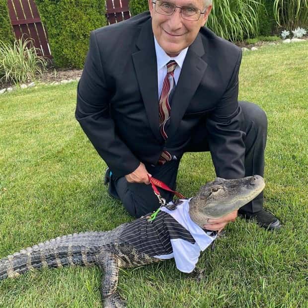 Klyker Picdump #1638 (43 photos)