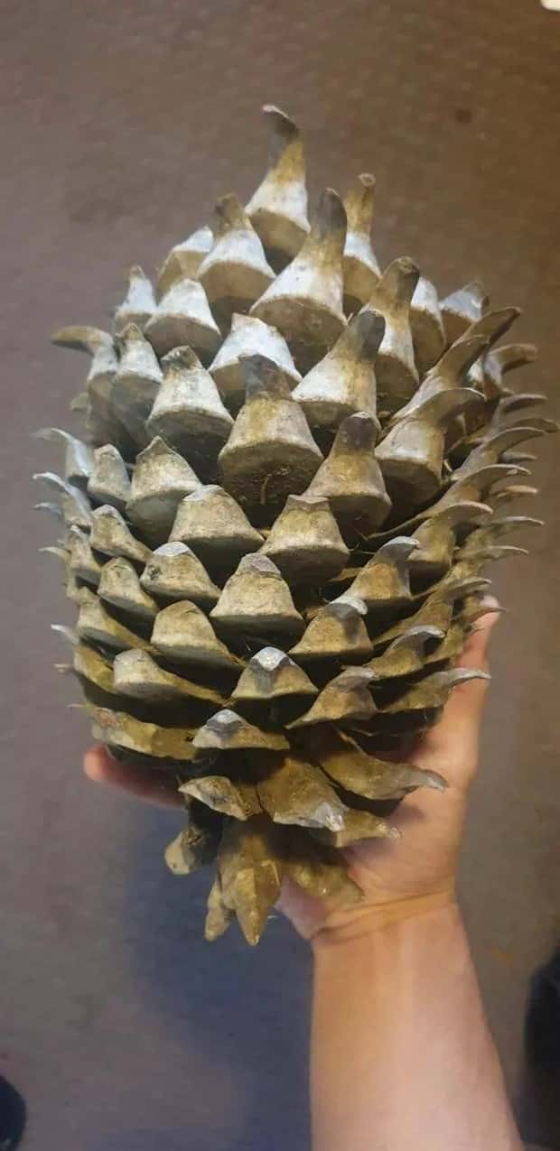 Klyker Picdump #1638 (43 photos)