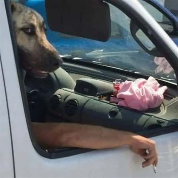 Klyker Picdump #1638 (43 photos)