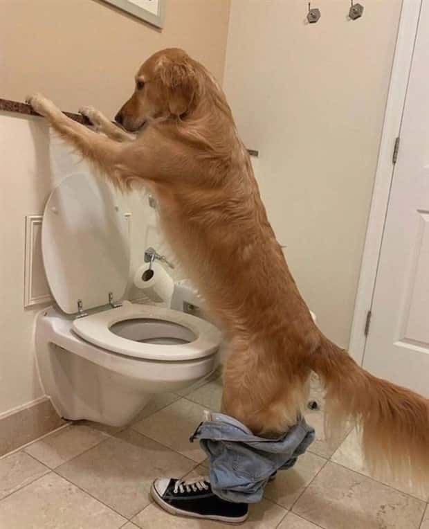 klyker picdump 1 16 2025 16 Klyker Picdump #1639 (44 photos)