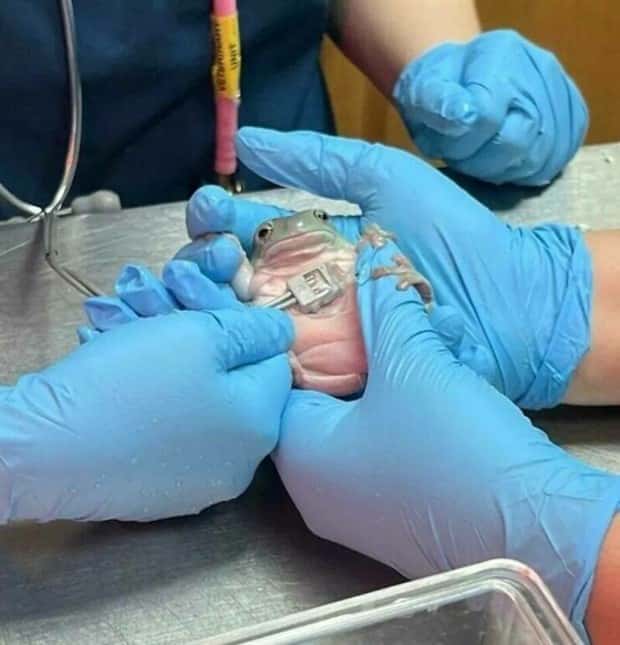 klyker picdump 1 16 2025 18 Klyker Picdump #1639 (44 photos)