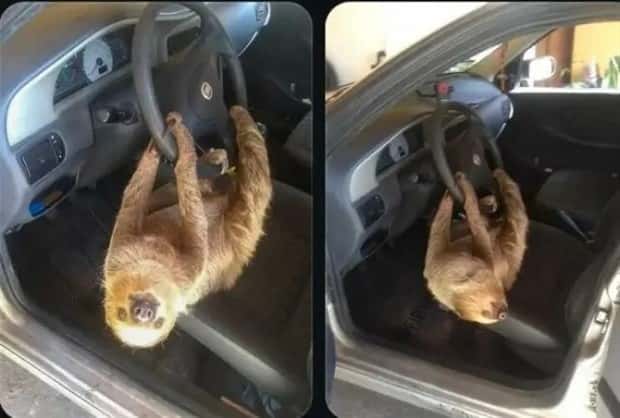 klyker picdump 1 16 2025 41 Klyker Picdump #1639 (44 photos)