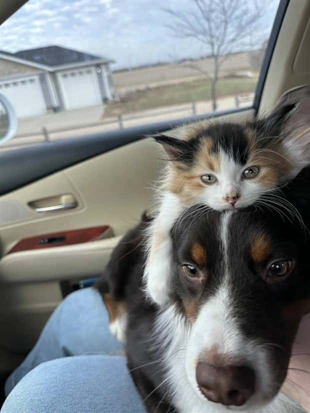 klyker picdump 1 16 2025 44 Klyker Picdump #1639 (44 photos)