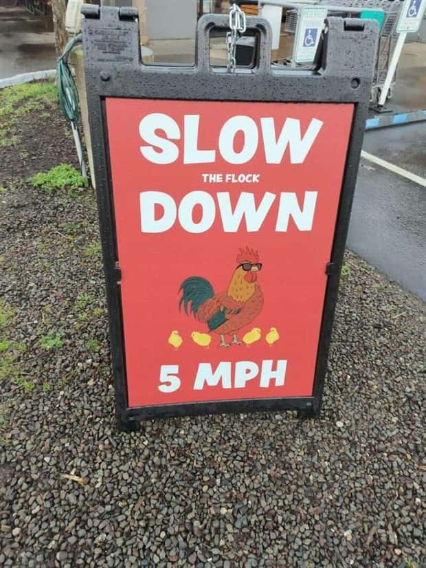 Klyker Picdump #1640 (45 photos)