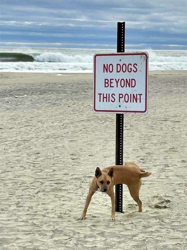 Klyker Picdump #1640 (45 photos)