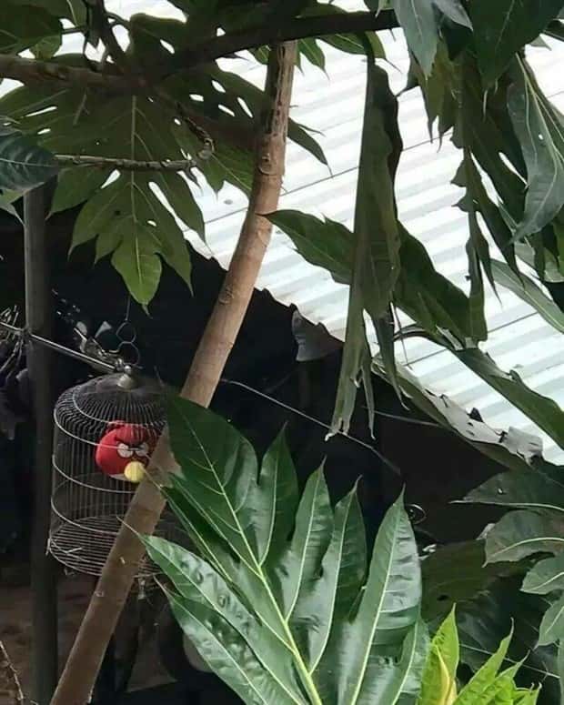 Klyker Picdump #1629 (44 photos)