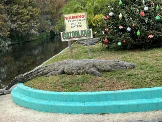 Klyker Picdump #1629 (44 photos)