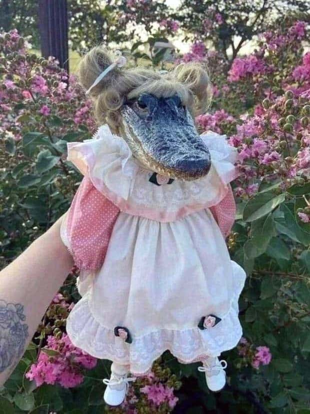 Klyker Picdump #1629 (44 photos)