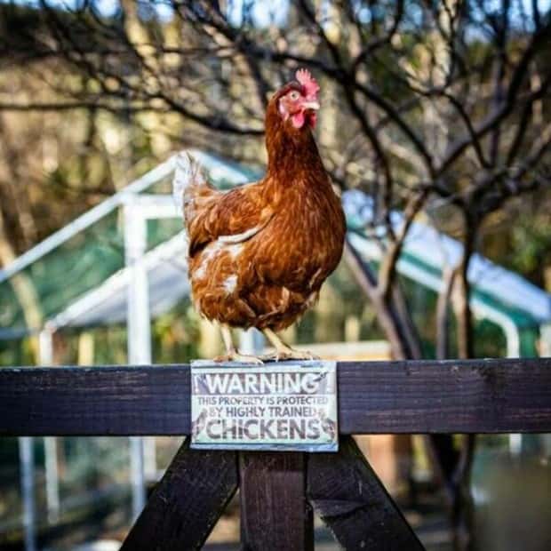 Klyker Picdump #1629 (44 photos)