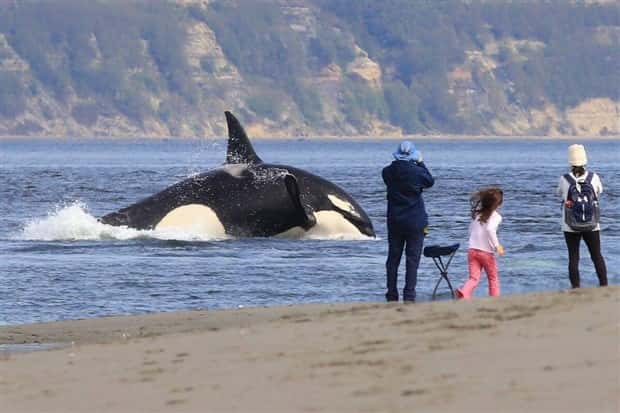 Klyker Picdump #1629 (44 photos)