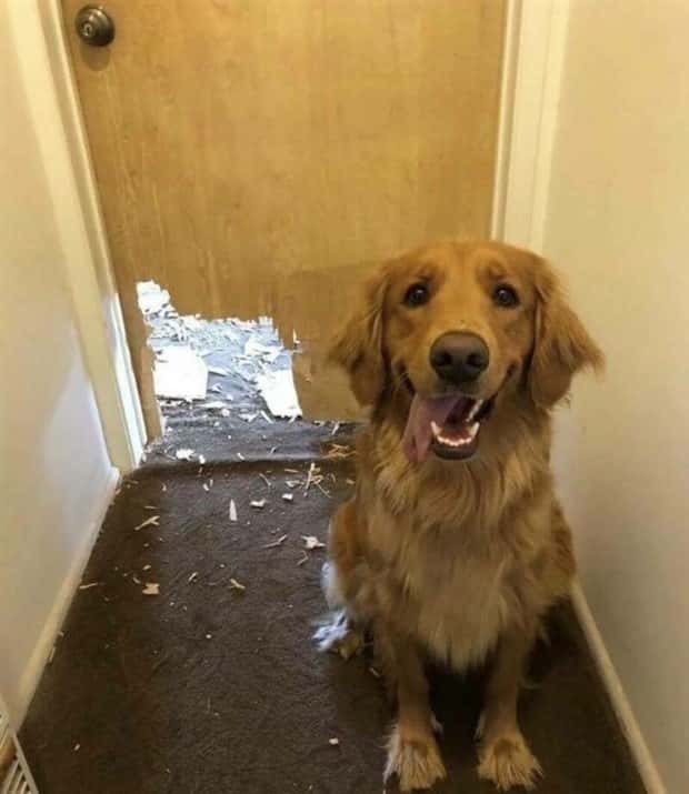 Klyker Picdump #1641 (41 photos)