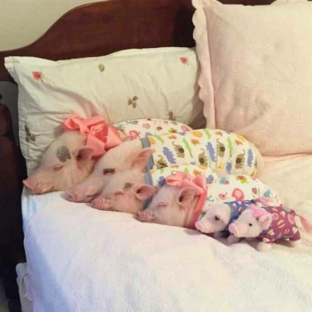 Klyker Picdump #1642 (42 photos)