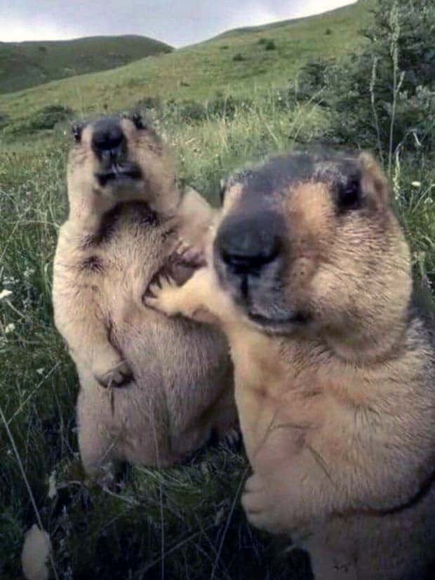 Klyker Picdump #1642 (42 photos)