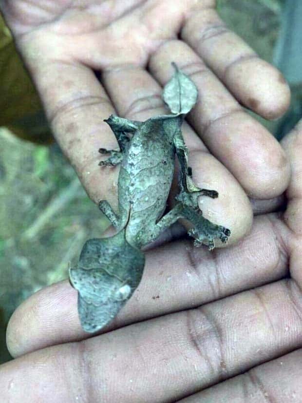 Klyker Picdump #1642 (42 photos)