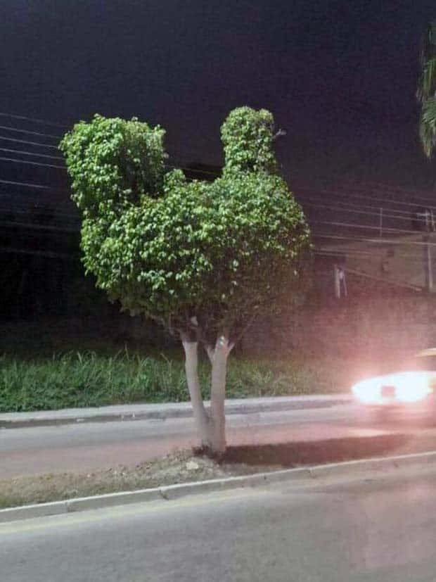 Klyker Picdump #1642 (42 photos)