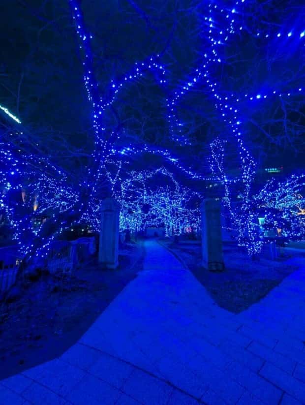 Klyker Picdump #1642 (42 photos)