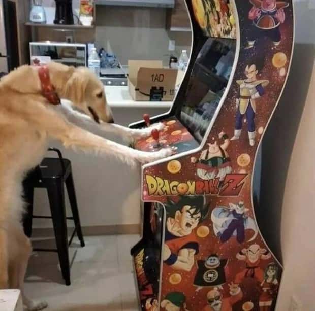 Klyker Picdump #1643 (43 photos)