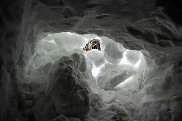 Klyker Picdump #1643 (43 photos)