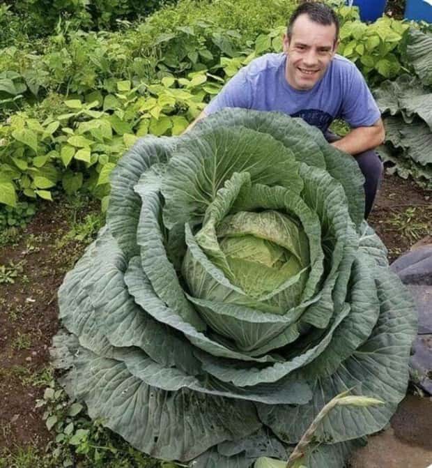 Klyker Picdump #1646 (41 photos)