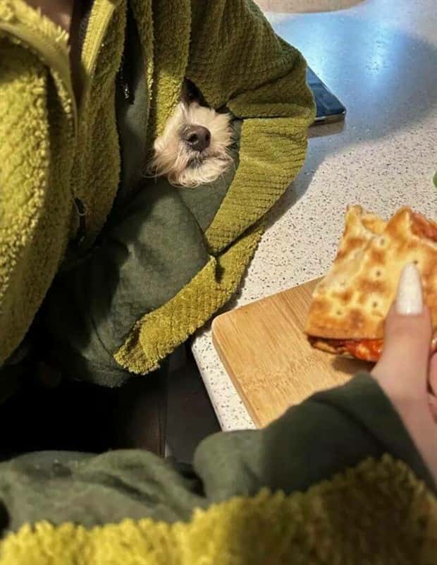 Klyker Picdump #1646 (41 photos)