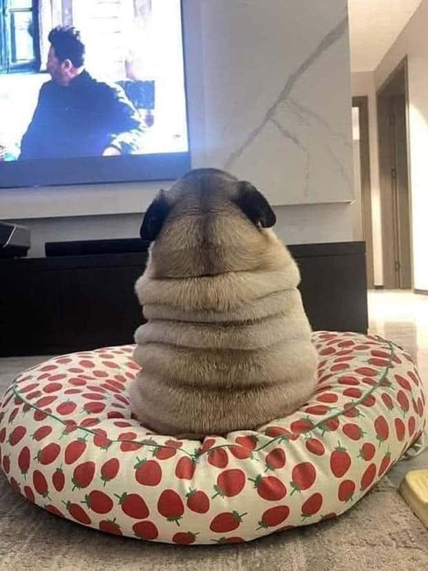 Klyker Picdump #1646 (41 photos)