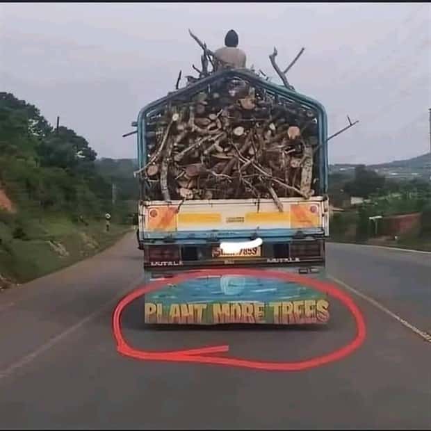 Klyker Picdump #1647 (42 photos)