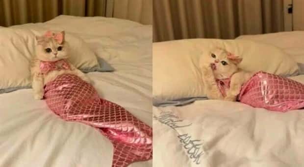 Klyker Picdump #1647 (42 photos)