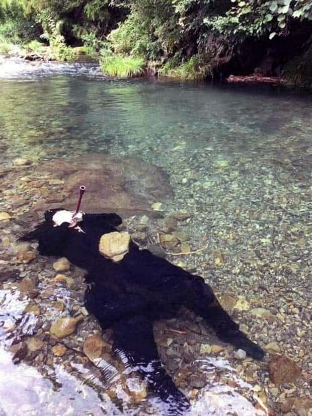 Klyker Picdump #1647 (42 photos)