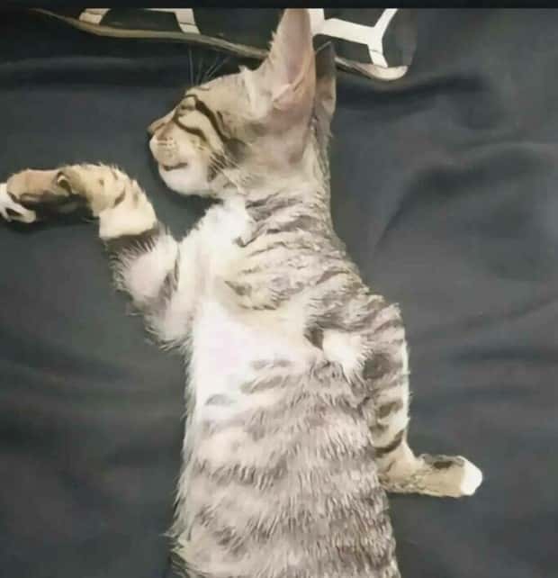 Klyker Picdump #1647 (42 photos)