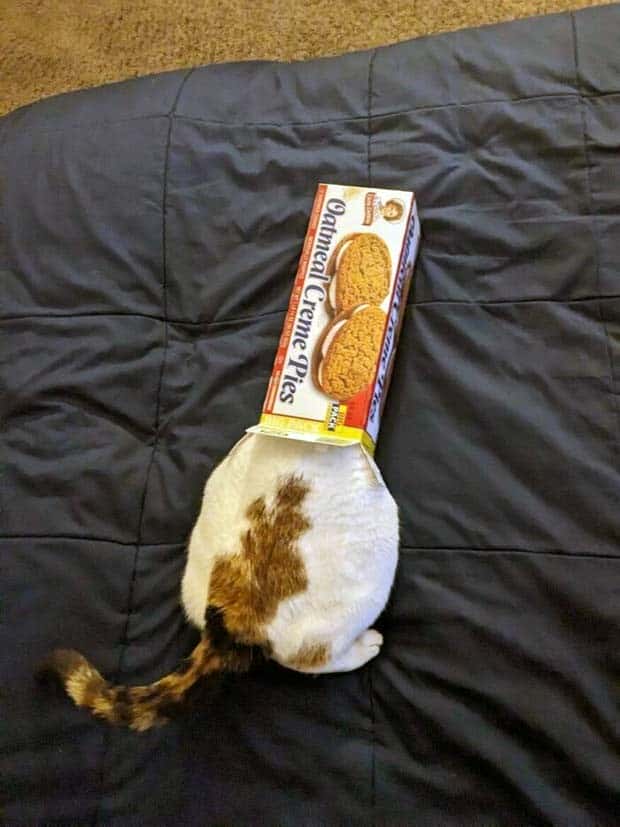 Klyker Picdump #1647 (42 photos)