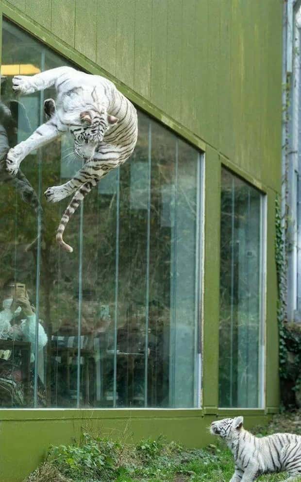 klyker picdump 1 29 2025 17 Klyker Picdump #1648 (43 photos)