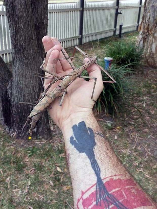 klyker picdump 1 29 2025 22 Klyker Picdump #1648 (43 photos)