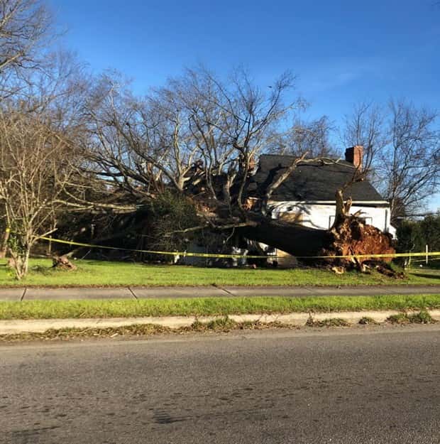 klyker picdump 1 29 2025 23 Klyker Picdump #1648 (43 photos)