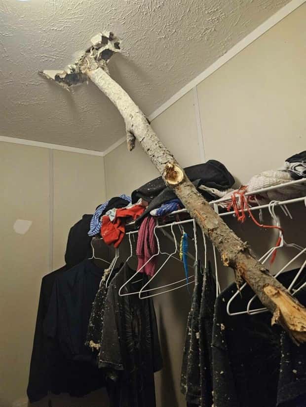 klyker picdump 1 29 2025 42 Klyker Picdump #1648 (43 photos)