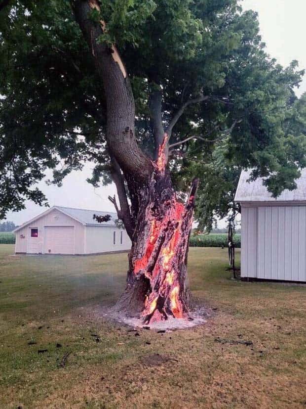 Klyker Picdump #1649 (44 photos)