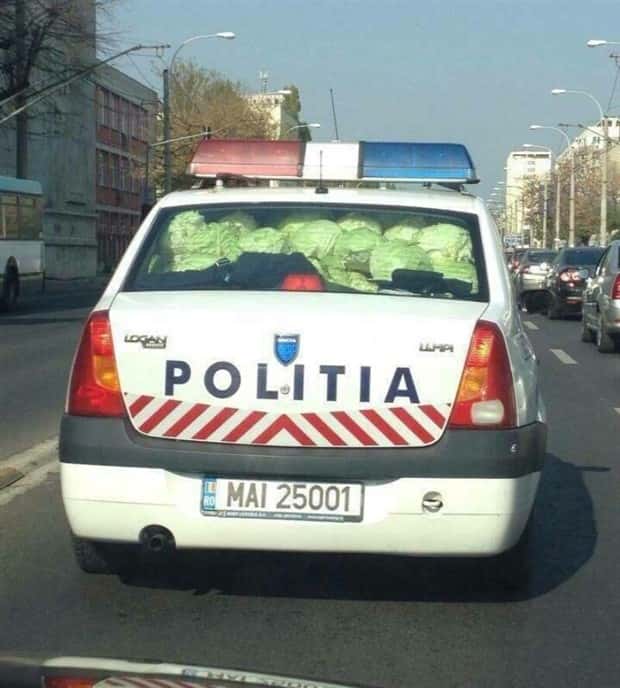 Klyker Picdump #1649 (44 photos)