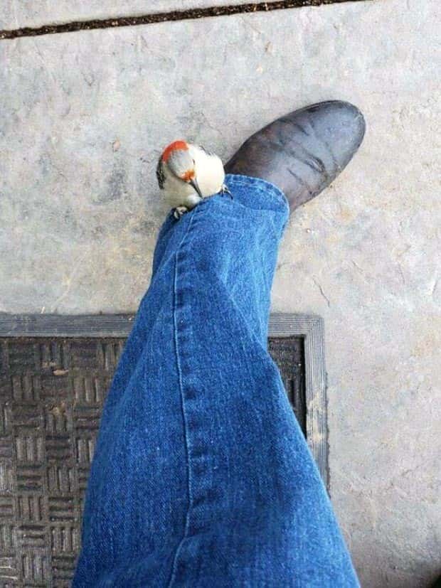 Klyker Picdump #1634 (44 photos)