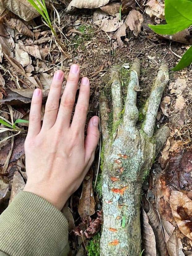 Klyker Picdump #1644 (44 photos)