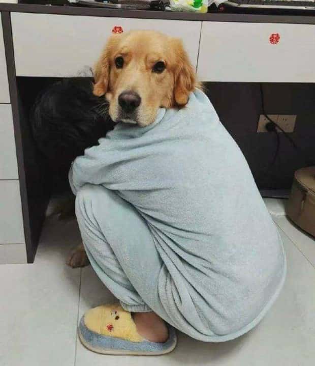 Klyker Picdump #1644 (44 photos)