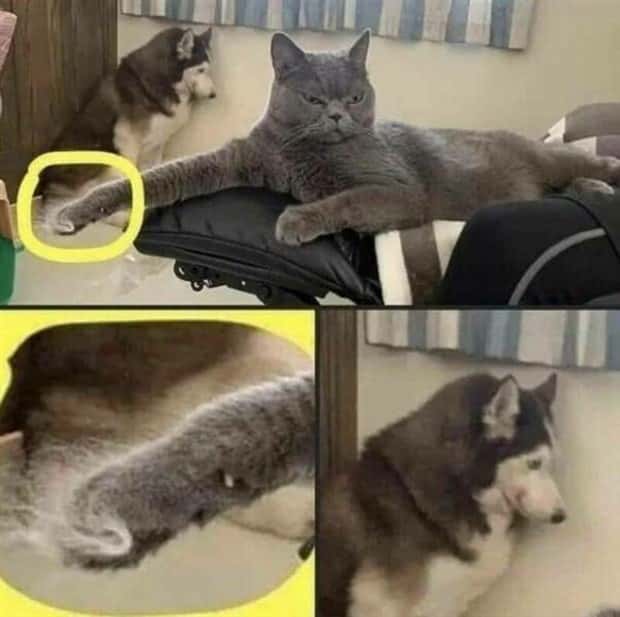 Klyker Picdump #1644 (44 photos)