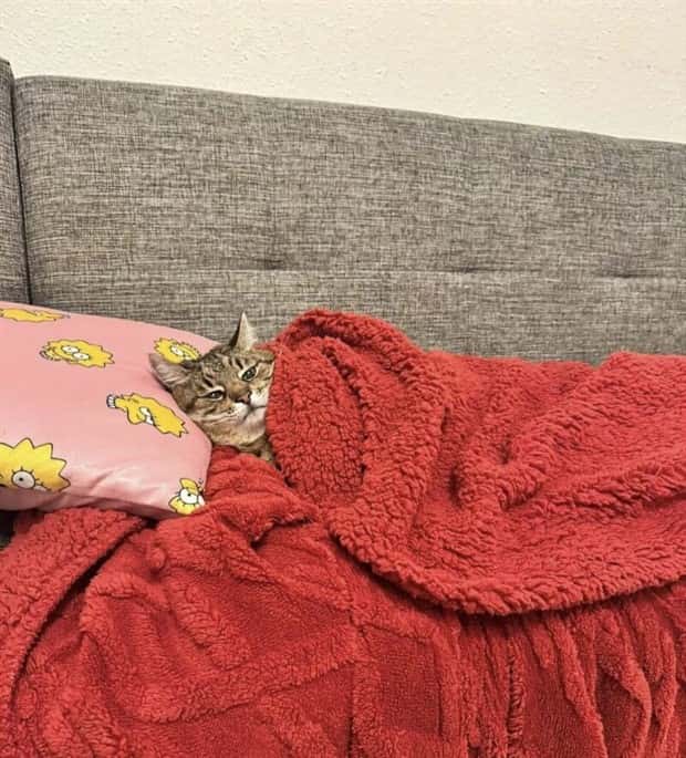 Klyker Picdump #1644 (44 photos)